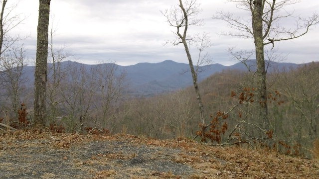 beautiful year round view