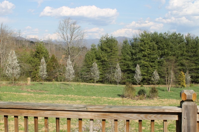 mountain views and large lot