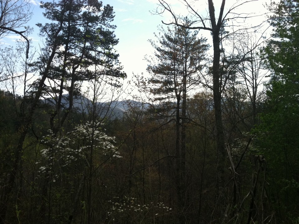 mountain views